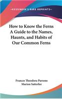 How to Know the Ferns A Guide to the Names, Haunts, and Habits of Our Common Ferns