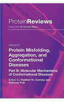 Protein Misfolding, Aggregation and Conformational Diseases