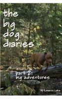 Big Adventures