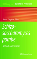 Schizosaccharomyces Pombe
