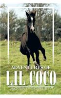 Adventures of Lil Coco