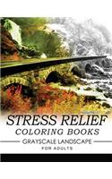 Stress Relief Coloring Books GRAYSCALE Landscape for Adults Volume 3