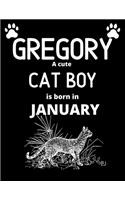 GREGORY a cute cat boy is born in January
