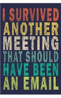 I Survived Another Meeting that Should Have Been an Email: Funny Vintage Coworker Gifts Journal