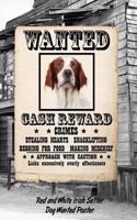 Red and White Irish Setter Dog Wanted Poster