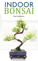 Indoor Bonsai