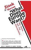 What Does Europe Want? The Union and its Discontents