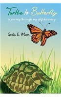 Turtle to Butterfly