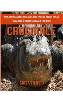 Crocodile