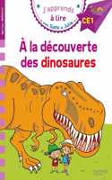 A la decouverte des dinosaures