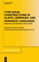 Type Noun Constructions in Slavic, Germanic and Romance Languages