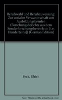 Berufswahl Und Berufszuweisung