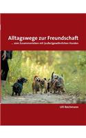Alltagswege zur Freundschaft