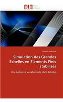 Simulation Des Grandes Echelles En Elements Finis Stabilisés