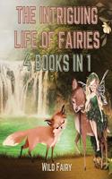Intriguing Life of Fairies