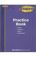 Treasures Practice Book, Grade 5