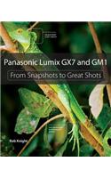 Panasonic Lumix GX7 and GM1