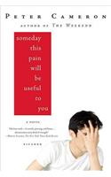 Someday This Pain Will Be Useful to You