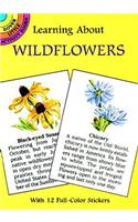 Learning About Wildflowers