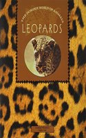 Leopards