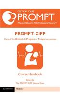 Prompt-Cipp Course Participant's Handbook