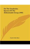 On The Gnathodus Species Of The Abdominalis Group (1903)