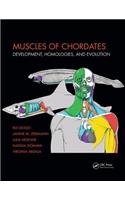 Muscles of Chordates