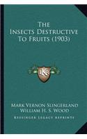 Insects Destructive To Fruits (1903)