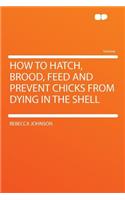 How to Hatch, Brood, Feed and Prevent Chicks from Dying in the Shell
