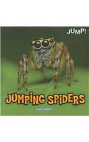 Jumping Spiders