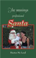 Musings of a Professional Santa