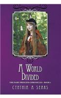 World Divided