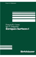 Enriques Surfaces I