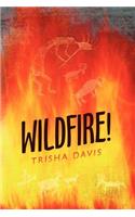 Wildfire!
