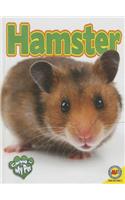 Hamster
