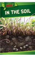 In the Soil