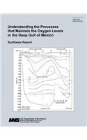 Understanding the Processes that Maintain the Oxygen Levels in the Deep Gulf of Mexico