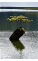 Solitary Tree in a Lake Journal