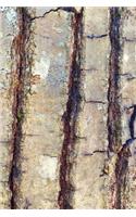 Oak Tree Bark Journal: (Notebook, Diary, Blank Book)