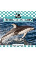 White-Sided Dolphins