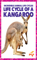 Life Cycle of a Kangaroo