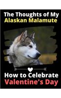 The Thoughts of My Alaskan Malamute