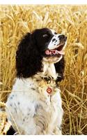 Springer Spaniel Dog Lined Journal: Canine Gift Notebook for Dog Lovers