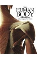 The Human Body