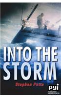 Into the Storm