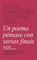 Poem Thinks Itself Out in Final Lines