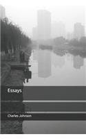 Essays