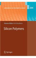 Silicon Polymers