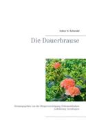 Die Dauerbrause