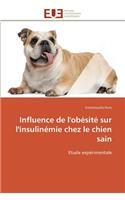 Influence de l'obésité sur l'insulinémie chez le chien sain